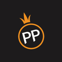 PPP模拟器